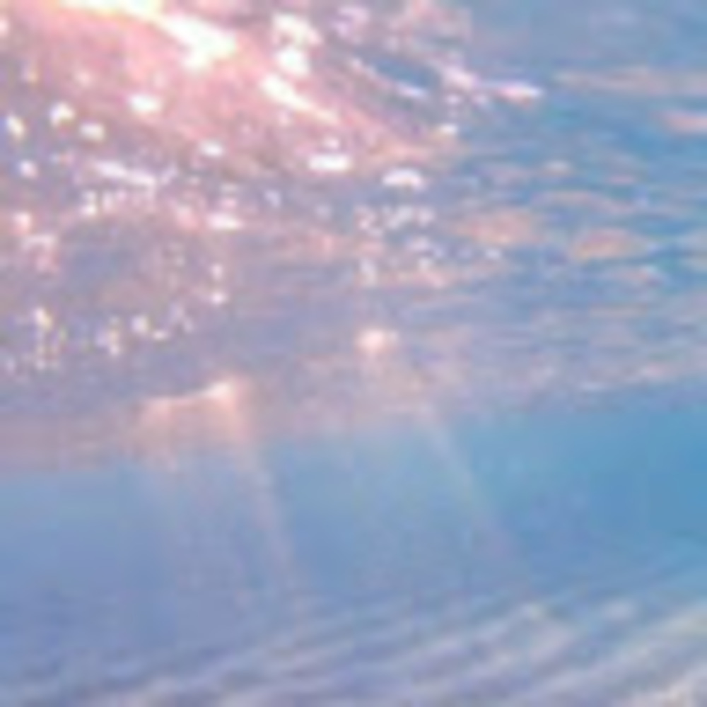 Meet your Posher, Ivy